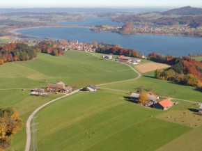 Baby- und Kinderhof Aicherbauer